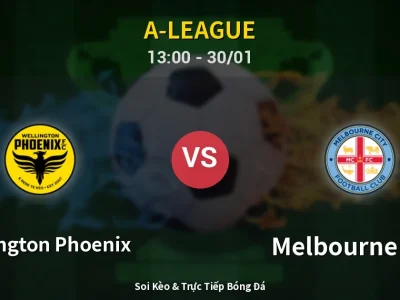 Kết Quả: Wellington Phoenix 2-2 Melbourne City – Highlight & Bàn Thắng | A-League