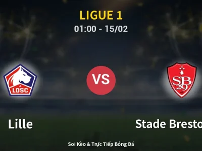 Kết Quả: Lille 1-1 Stade Brestois 29 – Highlight & Bàn Thắng | Ligue 1