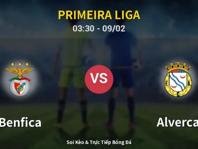 Kết Quả: Benfica 2-1 Alverca – Highlight & Bàn Thắng | Primeira Liga
