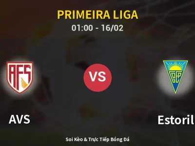 Kết Quả: AVS 3-0 Estoril – Highlight & Bàn Thắng | Primeira Liga