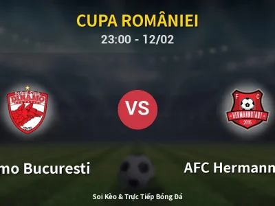 Soi Kèo Dinamo Bucuresti vs AFC Hermannstadt – 23:00 12/02 | Nhận Định, Dự Đoán Tỷ Số