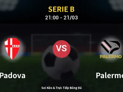🔴 Trực Tiếp: Padova 0-0 Palermo – Link Xem Serie B (Full HD)