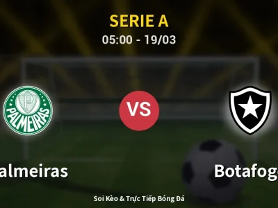 Kết Quả: Palmeiras 2-1 Botafogo – Highlight & Bàn Thắng | Serie A