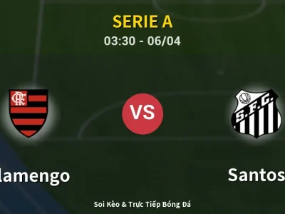 Kết Quả: Flamengo 3-1 Santos – Highlight & Bàn Thắng | Serie A